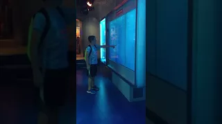 Gage’s reaction at the interactive exhibit, at the spy museum in a Washington DC