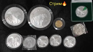 Стрим 🔥 серебро, щедрик 2024, 10 грн 2018 2021 🚀 Казахстан 💪