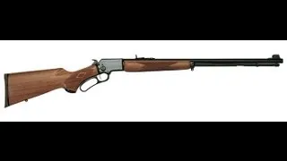 22 Shorts - Marlin 39A Accuracy