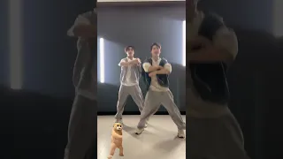 【BoYuan 伯远】Bear Dance Challenge with 關智斌 Kenny Kwan — 230903