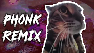 CAT MEOWS AT DOORBELL CAMERA (Phonk Remix)