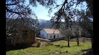 €65,000 This is a Steal it Really is Cottage in Portugal Potential Building plot for sale  Portugal