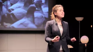 Emergence (or: How Ants Find Your Picnic Basket): Jane Adams at TEDxGallatin