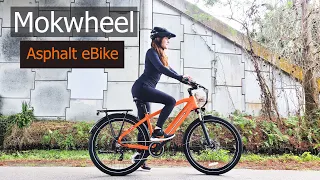 Mokwheel Asphalt Urban Commuter eBike | Unboxing, Assembly & Ride