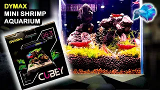 The Best Shrimp Aquarium? DYMAX CUBEY REVIEW ~