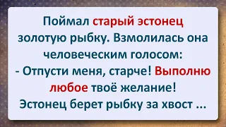 ⚜️ Старый Эстонец и Золотая Рыбка! Сборник Самых Смешных Анекдотов!