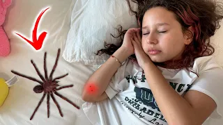 UMA ARANHA APARECEU NO QUARTO DA VALENTINA 😱😱😱 MUITO MEDO