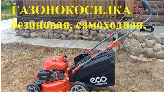 Бензиновая самоходная газонокосилка ЕСО LG734. Открываю ИП.