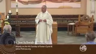 Homily 4th Sunday of Easter (Cycle B) Fr Joe