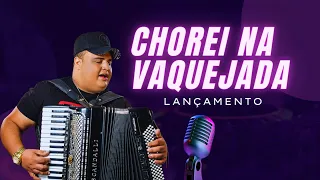 CHOREI NA VAQUEJADA   tarcisio do acordeon