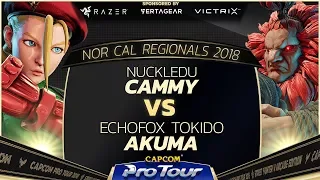 NuckleDu vs EchoFox | Tokido - Winner's Finals - NCR 2018 - SFV - CPT 2018