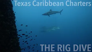 Gulf of Mexico Oil Rig DIVE - MV Fling