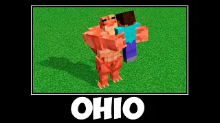 MINECRAFT OHIO - ALL EPISODES 💀