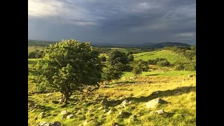 Ask the Farmer Session 5 with Bridget Murphy