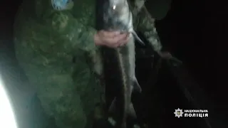 У Херсонській області співробітники водної поліції попередили вилов червонокнижних видів риб