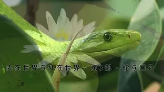 内在世界与外在世界 - 第3部 - 蛇与莲花 - Inner Worlds Outer Worlds Part 3 "The Serpent and the Lotus" (Chinese)