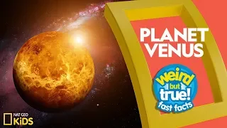 Planet Venus | Weird But True!—Fast Facts