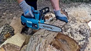 Makita DUC254Z | Cutting hard wood | Robinie