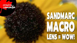 Get Amazing Macro Photos and Video On Your iPhone 12 Pro Sandmarc Macro Lens Edition