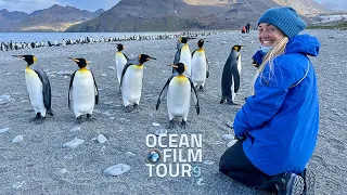 International OCEAN FILM TOUR Volume 9 I THE POWER OF ACTIVISM