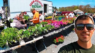 Our First Day At The Flea Market