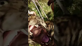 This is why you NEVER turn your back on a Jaguar 🐱🤛 | Far Cry Primal