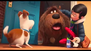 Тайная жизнь домашних животных The Secret Life of Pets 2016 трейлер русский