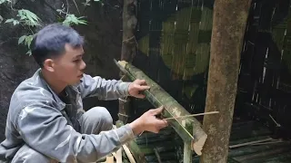 Video Full: 365 Days Gardening - Harvesting Huge Bamboo Shoot- make wooden doors,building a new life