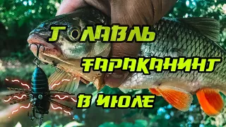 ГОЛАВЛЬ В ЖАРУ! ТАРАКАНИНГ на малой реке. День Tiemco TINY CICADA