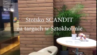 Sauna nowoczesna SCANDIT 20