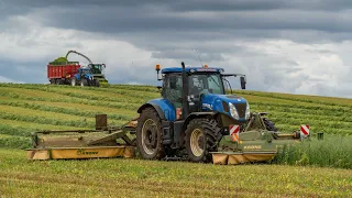 Sklizeň směsky - Claas Jaguar 950 & New Holland TEAM | Jiránek spol. s.r.o.