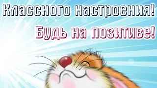 Позитив для друзей! Всем прекрасного настроения в  любую погоду! 😀👍👌 / Smile!