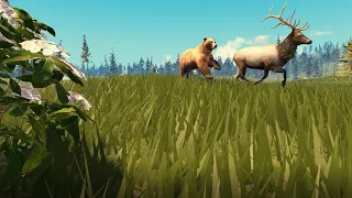 Yellowstone Unleashed Roblox Bear