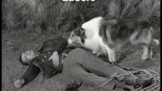 Lassie - Episode #351- "Lassie and the Savage" - Season 10, Ep. 28 - 04/26/1964