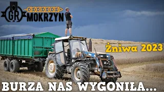 BURZA WYGONIŁA NAS Z POLA... 😭 Kosimy pszenżyto do suszenia ✔ Nowe Patenty w Kombajnach ✔ GR Mokrzyn