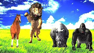 animals in safari africa, animals attack safari, safari park animals,wildlife film, African Safari,