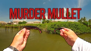 MURDER MULLET IS BACK + How I catch Fish with the NLBN Lil Mullet