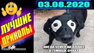 РЖАКА до Слез  BEST CUBE  Лучшие Видео из Инстаграм  BEST COUB  Видео Приколы  Отборные ПРИКОЛЫ