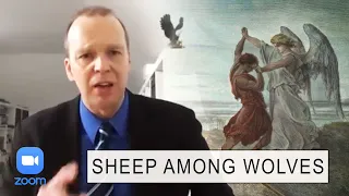 6. SHEEP AMONG WOLVES!