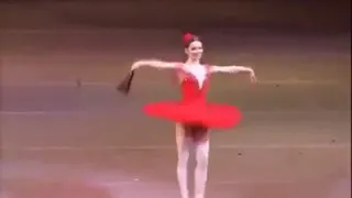 Evgenia Obraztsova  Don Quixote    Dance&Ballet by Nermana Kozlić