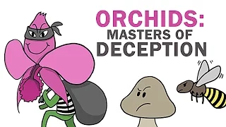 Orchids: The Masters Of Lying, Cheating & Stealing