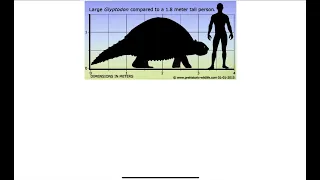 Prehistoric animal vs modern animal size comparison part 2