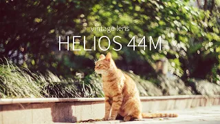 买了不会后悔的镜头：HELIOS 44M