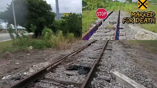 Is this Abandoned Railroad Crossing Being Reactivated ?