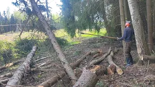 Валка дерева на линии не удачно получилось