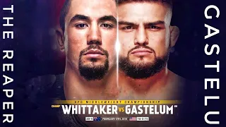 Robert Whittaker Vs Kelvin Gastelum | UFC 234 | Promo