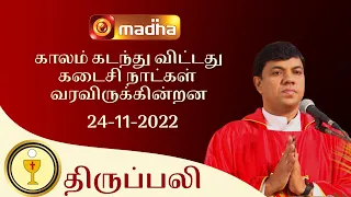 🔴 LIVE 24 November 2022 Holy Mass in Tamil 06:00 PM (Evening Mass) | Madha TV