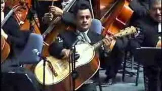 VIOLIN HUAPANGO MARIACHI VARGAS DE TECALITLAN