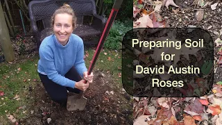 Preparing Soil for Arrival of David Austin Roses Next Spring