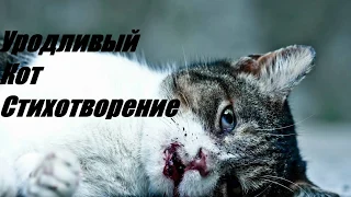 Стих. Уродливый кот.stih_Urodlivyj_kot